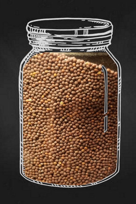 Brown Mustard Seeds